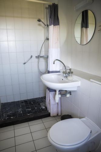 a bathroom with a sink and a toilet and a mirror at Hotel De Horper Wielen in Kaard
