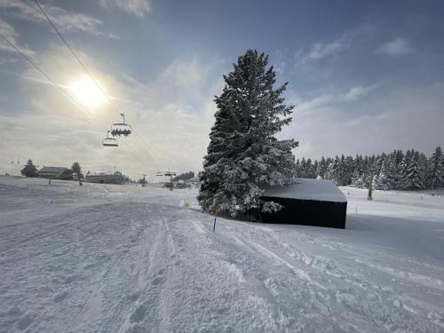Panorama Krvavec Ski-in, Ski-out semasa musim sejuk