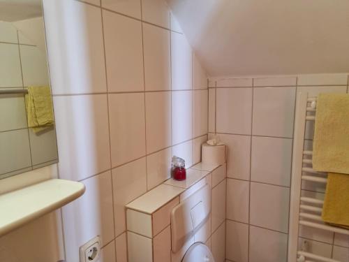 a small bathroom with a toilet and a shower at Weisshaus Schruns in Schruns-Tschagguns