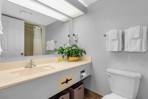 默特尔比奇Captivating Coastal Charm - Oceanview Suite! PG 504的带水槽、马桶和镜子的浴室
