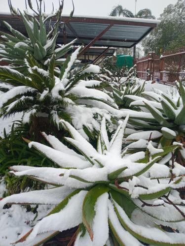 Blessings Guesthouse semasa musim sejuk
