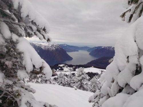 a view from the top of a mountain with snow covered trees at Carlotta Mountain Lake Iseo Hospitality in Bossico