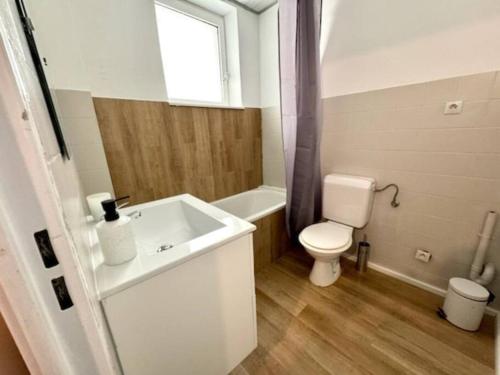 une salle de bain avec un lavabo blanc et des toilettes dans l'établissement Appartement proche place de la réunion au calme, à Mulhouse
