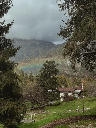 Photo de la galerie de l'établissement Petit chalet Mazot à Samoëns Grand Massif, à Samoëns