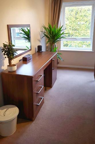 an office with a desk with a mirror and plants at 3 Bed House Close to Town & Cricket Ground in Nottingham