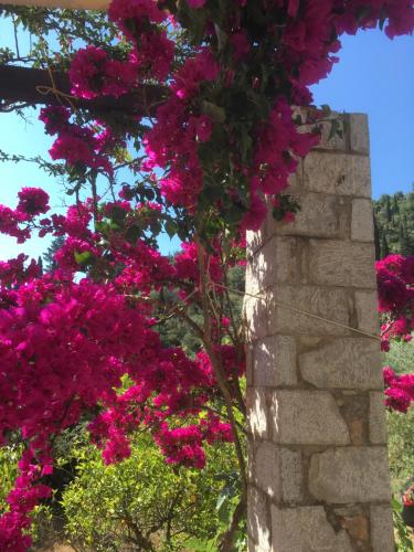 Κήπος έξω από το Leonidio Stone House