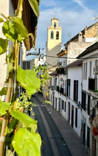 La buganvilla De Santiago