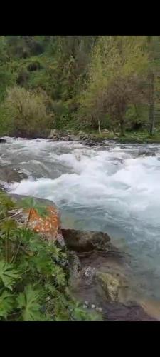 Afbeelding uit fotogalerij van Лесхоз in Kalday