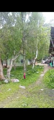 Afbeelding uit fotogalerij van Лесхоз in Kalday