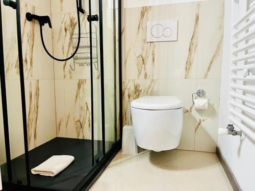 a bathroom with a toilet and a shower at GuestHouse Magliaso Golf Station by LR - self check in in Magliaso