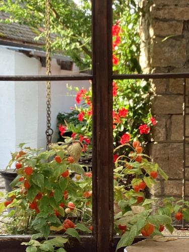 Κήπος έξω από το Ferienhaus Fahr am Main