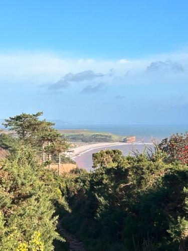 a view of a beach from a hill with trees at Flat in Budleigh Salterton in Budleigh Salterton
