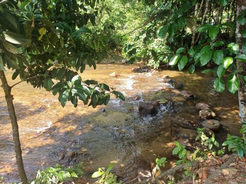a stream in the middle of a forest at Lemuni Retreat & Training Centre - Kerling, Selangor in Kerling