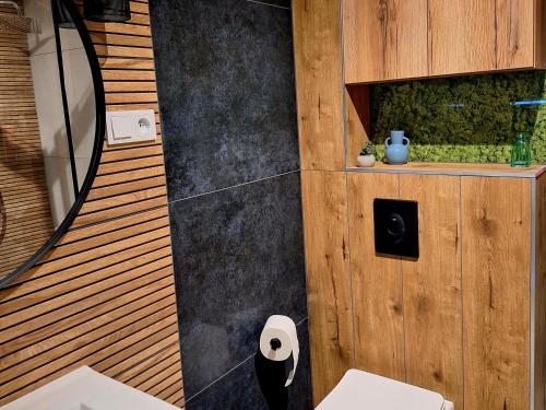 Koupelna v ubytování Apartament Blue Polana Szaflarska