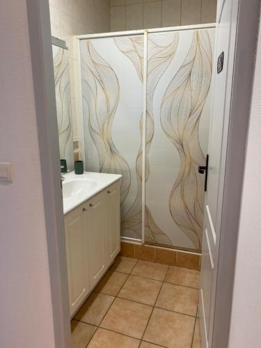 La salle de bains est pourvue d'une douche et d'un lavabo blanc. dans l'établissement Très bel appartement !, à Saleilles