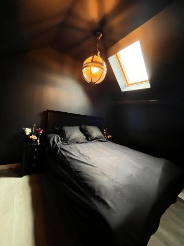 Cette chambre sombre comprend un lit et une fenêtre. dans l'établissement L'Orchidarium, maison élégante et romantique à Flagy, à Flagy