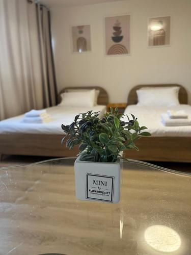 a potted plant sitting on a table in a room with two beds at OP Open View เมืองทอง T12 impact muang thong thani in Ban Bang Phang