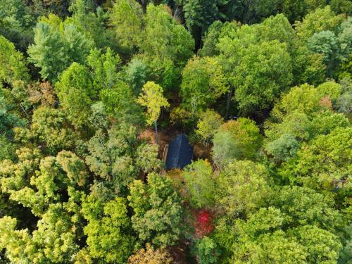 Emerald Forest! Romance, Luxury and nature mins to PF and GB photo 15