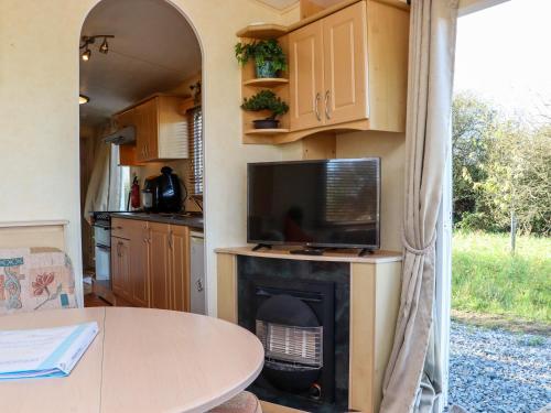 a kitchen with a fireplace in a caravan at Hayesland Holiday Home in Tagoat