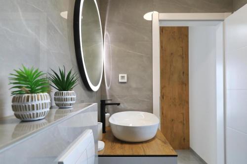 a bathroom with a white sink and a mirror at Vila Beny in Vir