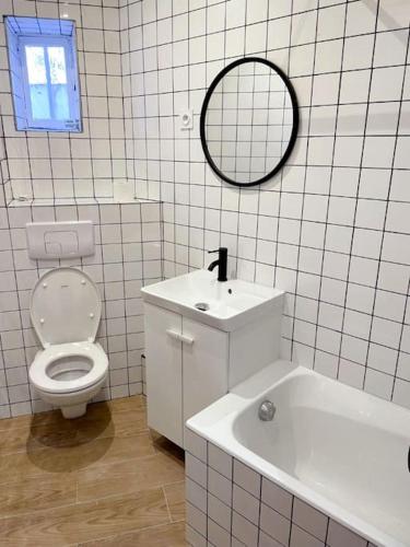 une salle de bain avec toilettes, lavabo et miroir dans l'établissement Appartement Charpenne, à Villeurbanne