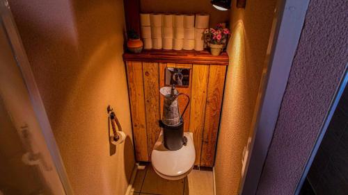 Elle comprend une petite salle de bains pourvue de toilettes. dans l'établissement La chevrerie, à Gorges