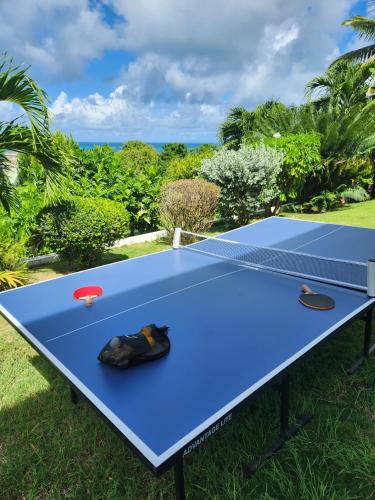 a blue ping pong table with shoes on it at LaBelleVue Antigua Oceanview Suites and OnSite Car Rentals in Crosbies
