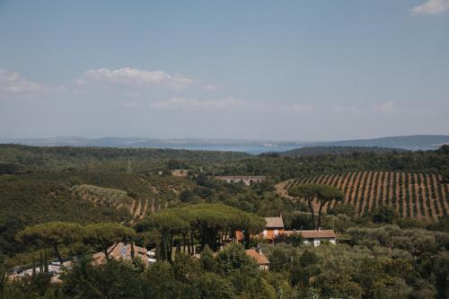 a view of a town in a vineyard with trees at Villa Clodia Relais in Manziana