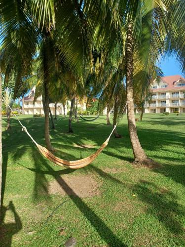 a hammock between two palm trees in a park at T3 Rhum Passion vue mer et rocher du Diamant dans célèbre Village de Vacances in Sainte-Luce