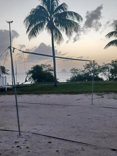 a volleyball net with a palm tree in the background at T3 Rhum Passion vue mer et rocher du Diamant dans célèbre Village de Vacances in Sainte-Luce