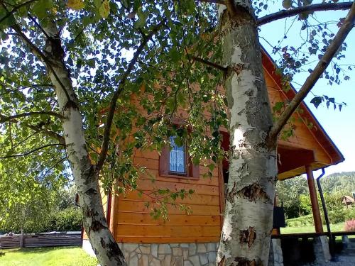 a log cabin with a tree in front of it at Wrzos Chata w Beskidach in Kamesznica
