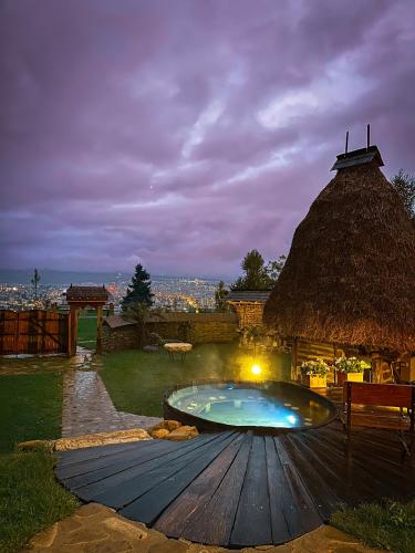 a small swimming pool with a thatch roof at Echoes of Vlădicu in Cluj-Napoca