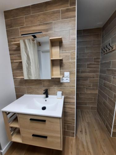 une salle de bain avec un lavabo et un miroir dans l'établissement Gîte de la Forêt de Poyant, à Lussant