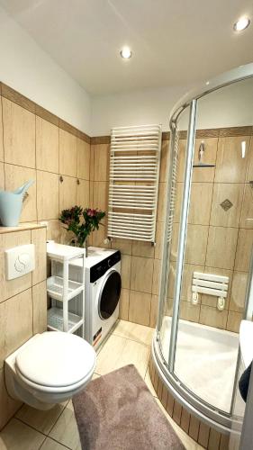 a bathroom with a toilet and a washing machine at Apartament Centrum Rynek in Bolesławiec