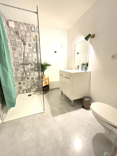 une salle de bain avec une douche, un lavabo et des toilettes dans l'établissement Le Charmant T3 avec Jardin Privé, à Flourens