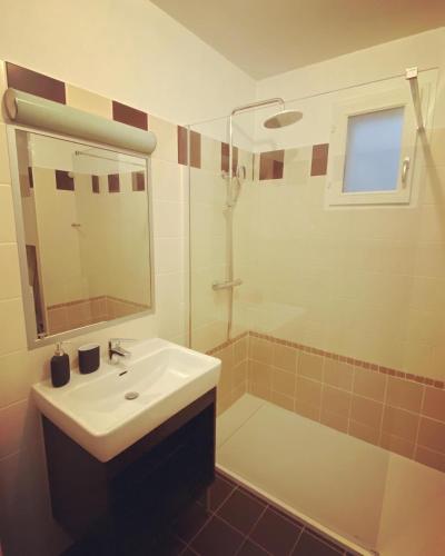 une salle de bain avec un lavabo, une douche et un miroir dans l'établissement T3 Rue de Republique - Panier, à Marseille