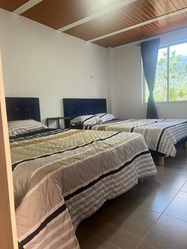 three beds in a room with a window at Quinta Las Mendoza in Zetaquira