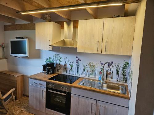 カーメンツにあるUnterkunft , Ferienwohnung auf dem Land, Monteurswohnungのキッチン(木製キャビネット、シンク、シンク付)