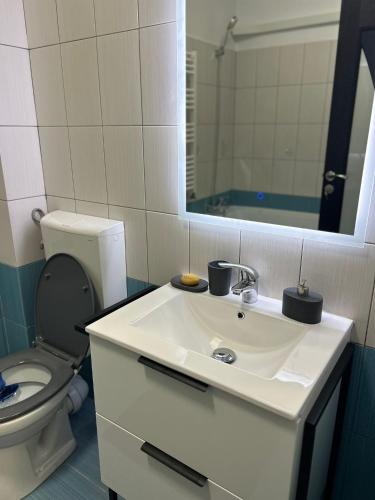 a bathroom with a toilet and a sink with a mirror at Natalieva Apartment in Popeşti-Leordeni