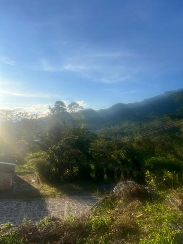 a view from the top of a hill with trees at Quinta Las Mendoza in Zetaquira