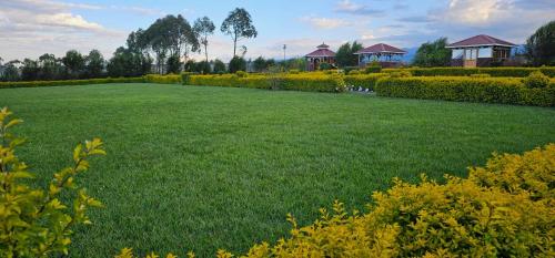 a large field of grass with houses in the background at Juniper Park Resort in Nyahururu