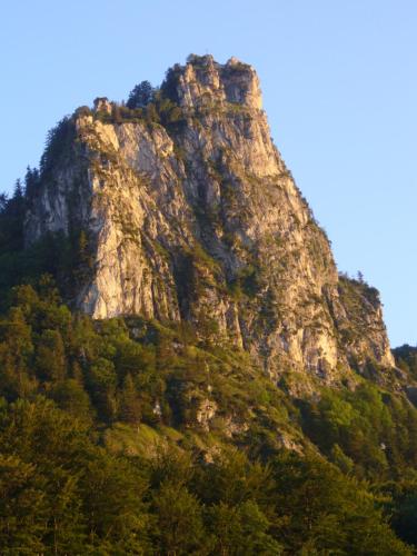 a rocky mountain with trees in front of it at Guggenthaler Gipfelblick in Guggenthal