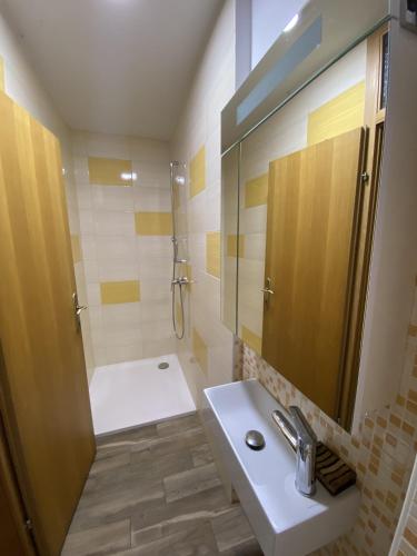 a bathroom with a sink and a shower at Apartma Loško in Cerknica