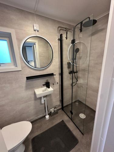 a bathroom with a shower and a sink and a mirror at Perchlodge in Mönsterås