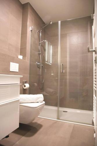 a bathroom with a toilet and a glass shower at Charming Studio close to city centre in Luxembourg