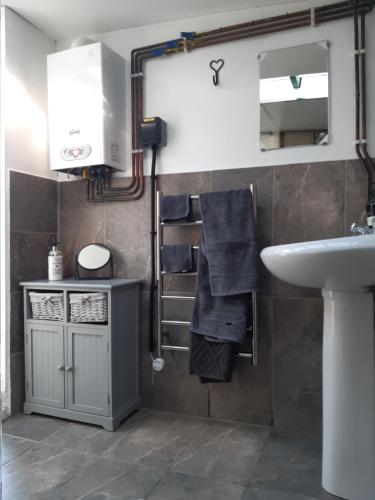 CarleenThe Shepherd Hut的带水槽和镜子的浴室以及水槽