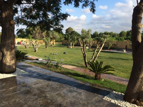 a path through a park with trees and grass at Villas de encanto in Vilamarxant