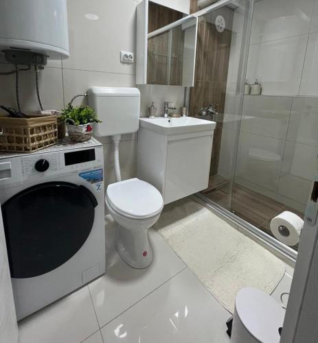 a bathroom with a toilet and a washing machine at Skopje-Modern, home apartment-Kozle in Ždanec