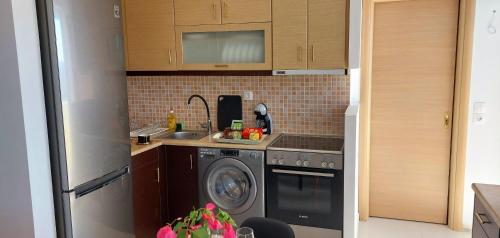 Кухня или мини-кухня в Aelia Sea View Apartments Rafina close to the Port , Airport & Athens

