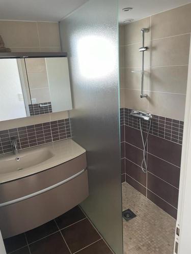 une petite salle de bain avec un lavabo et une douche dans l'établissement Maison Mosse, à Angoulins-sur-Mer